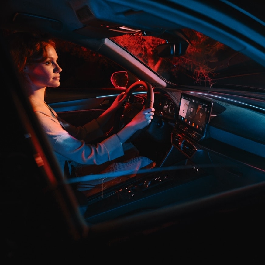 infotainment online, sterowanie głosowe